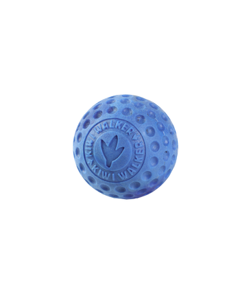 Kiwi Walker Ball Blue Dog Toy